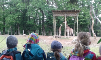 Výlet do ZOO Lešná