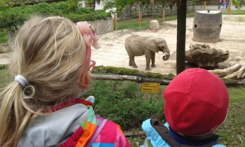 Výlet do ZOO Lešná