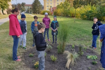 Výsadba záhonku