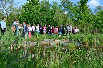 Arboretum Lužice