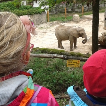 Výlet do ZOO Lešná