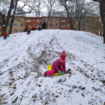 Sníh a  velká radost